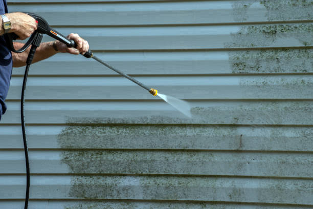 Best Fence Cleaning  in Oronogo, MO